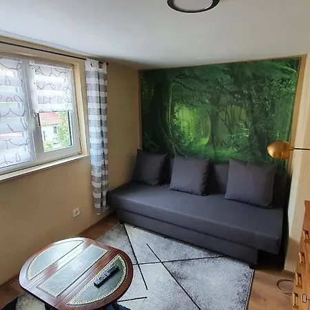 Gemuetliches Haus Im Alten Ortskern Apartmán Wehrheim